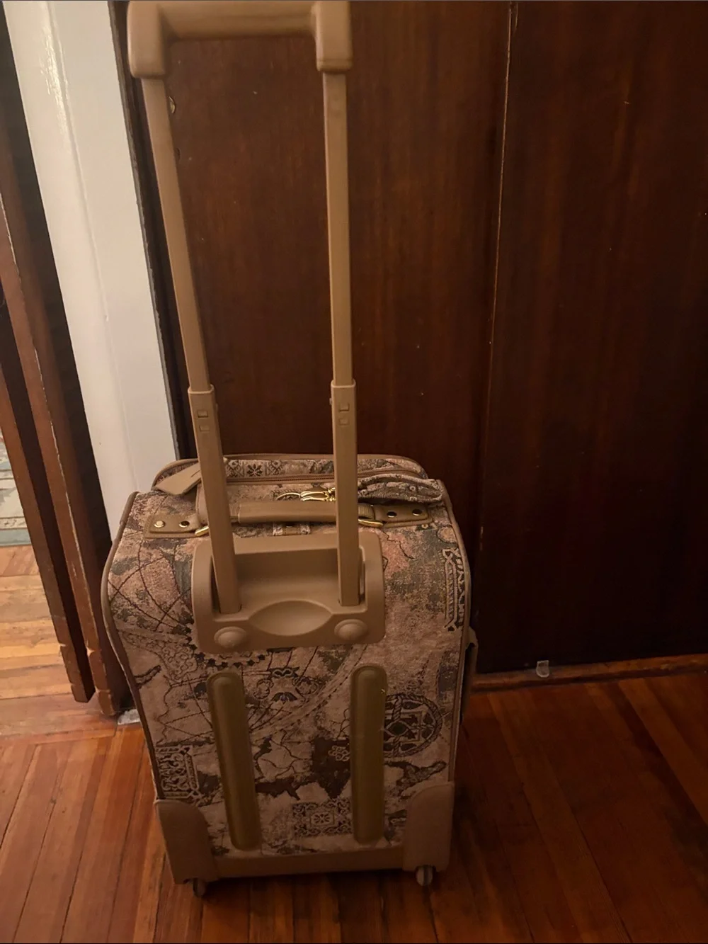 Pegasus Brown Patterned Travel Carry-On Bag for Women